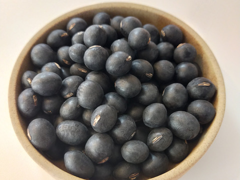 煮豆でふっくら　黒豆（丹波黒大粒大豆）　手選別　500g