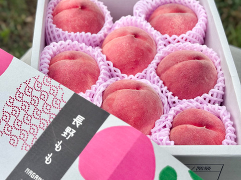 [2025年予約受付中]
長野県産　つきあかり2.5kg（約6~10個）