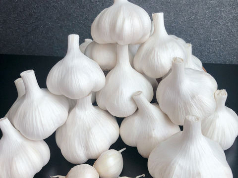 【10箱限定‼️残りわずか】青森にんにく『白玉王』1キロ（大中玉）月1000箱売れてます‼️