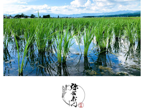 黄金餅（もち米）（3㎏）