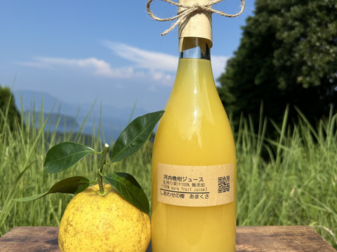 【日本の柑橘】生搾り果汁100%ストレートジュース（天草特産 河内晩柑）無添加 栽培期間中農薬、化学肥料不使用