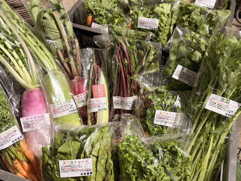 旬の野菜セット！ 大和ルージュ　2本入り
80サイズの箱に7種から10種類程度のお野菜詰め合わせ