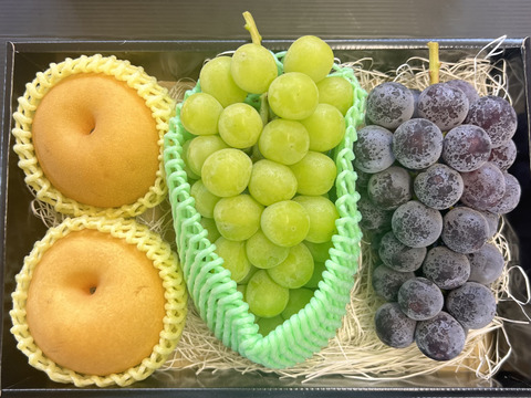 【旬のフルーツセット家庭用】ぶどう 梨 シャインマスカット 大満足 秋の味覚 フルーツ 果物 ゴルフコンペ プレゼント 誕生日ピオーネ