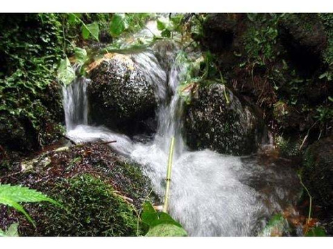 期間限定　訳あり夏の高原完熟トマト
4〜5キロ　20〜30個　B品　美味しさそのまま