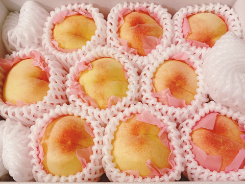 🍑おかやまの白桃　小箱【3〜6個】【ご自宅用】