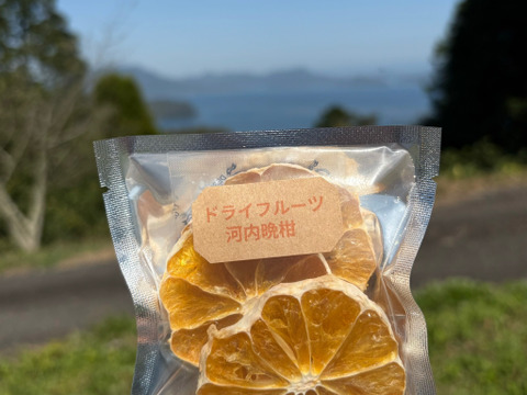 ドライフルーツ（河内晩柑）1パック（10g）×6個　砂糖不使用　河内晩柑は栽培期間中に農薬・化学肥料不使用