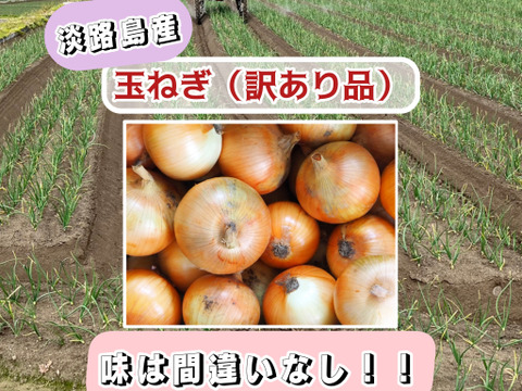 【訳あり玉ねぎ】不揃いだけど味は一級品！淡路島が誇る濃厚な旨味をご家庭で　５kg（サイズ混合）