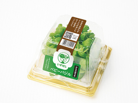 和食やスイーツにも！ベビーバジル【いずばじ】(20g)【テレビで紹介されました】