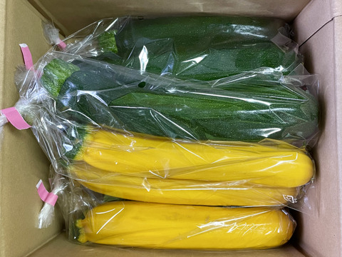 濃甘！ズッキーニ2色 4kg 農薬・化学肥料不使用