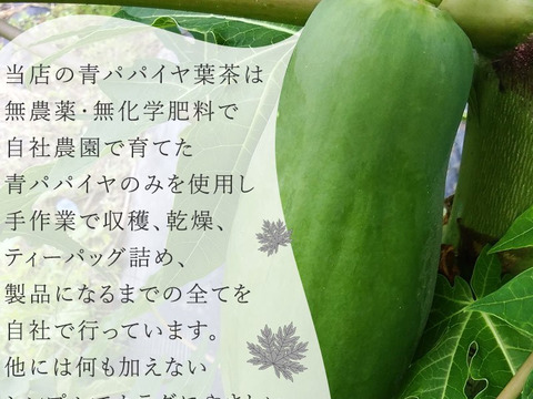 パパイン酵素が注目！パパイヤ葉茶 15包包入（農薬不使用｜福島県産