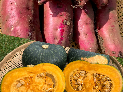 旬のセット🍠🎃【北海道産🌎農薬化学肥料・除草剤不使用】甘いサツマイモ5㎏🍠ホクホク南瓜5㎏のセット🍠🎃