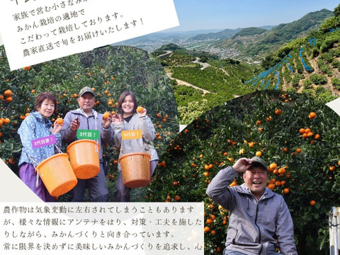 【冬ギフト】農家直送！有田みかん3kg≪2Sサイズ（小玉）秀品≫【平武農園】～蛍飛ぶ町から旬の便り～　和歌山｜有田｜田口｜ギフト｜こだわり　産地直送　お取り寄せ