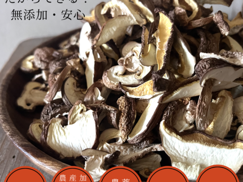 完全国産材料使用　徳島県産乾燥椎茸　100グラム　農薬、殺虫剤も不使用生産