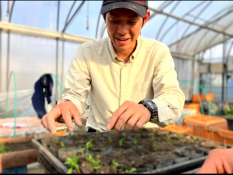 驚きの紫！新じゃが「シャドークイーン」5kg【自然栽培】