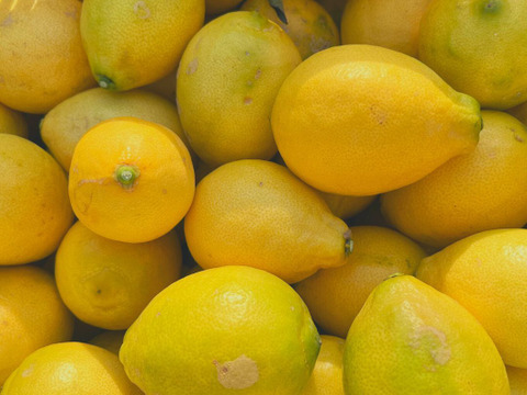 【送料相当分値引き中♪】【訳あり】【賞味期限間近】「璃の香」果汁200ml　レモン果汁無添加ストレート100％  3本セット