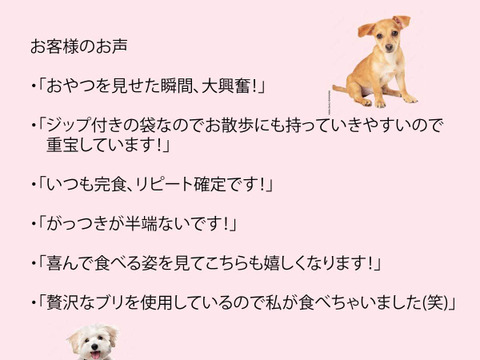 ペット用 福井県産 かじきジャーキー 50ｇ 2パック