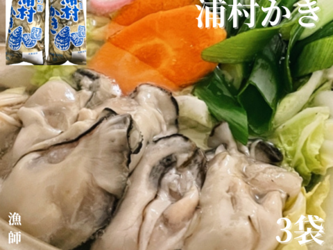 牡蠣好き歓喜の20%増量中！（500g）×3袋 【生牡蠣】【生食用】三重県産 浦村かき むき身 牡蠣 総重量1.5キロ
生で食べれる衛生的な牡蠣です。 お歳暮 熨斗 新年会 女子会 母の日ギフト
