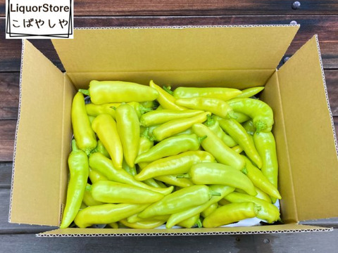 限定採れすぎ大特価‼️ 採れたては辛さも新鮮!!バナナ南蛮だらけ箱一杯セット!!(サイズ80)