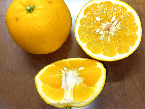 【新品種/超希少】とっても甘いグレープフルーツ2kg（８個前後）　和歌山県産　サイズ混合　農薬節減