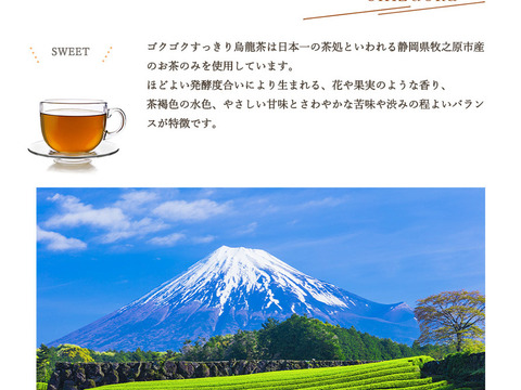 【2024年末感謝祭⑤・単品】ゴクゴクすっきり烏龍茶ティーバッグ　メール便　烏龍茶 国産  ティーバッグ 100個入 お茶 冷茶  水出し パック 静岡茶 牧之原茶 ティーパック 大容量  チャック付
