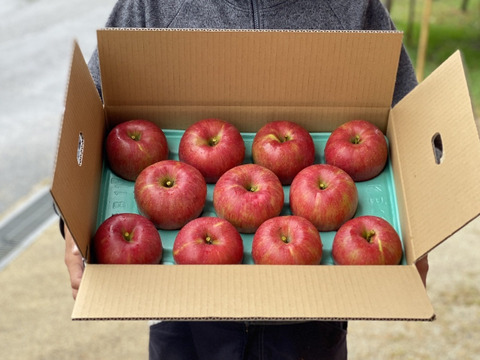 特大サイズ【シナノスイート】あま〜い誘惑♡信州りんご人気品種 5kg（11.12玉）