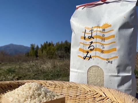 玄米　令和6年度産　はるみ10kg 玄米食に最適「品種：はるみ」自然栽培米 10kg 令和6年産：神奈川県産