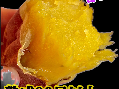 富山県南砺市立野原産赤土べにはるか