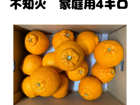 不知火 『家庭用8キロ』（4キロ箱×2箱）