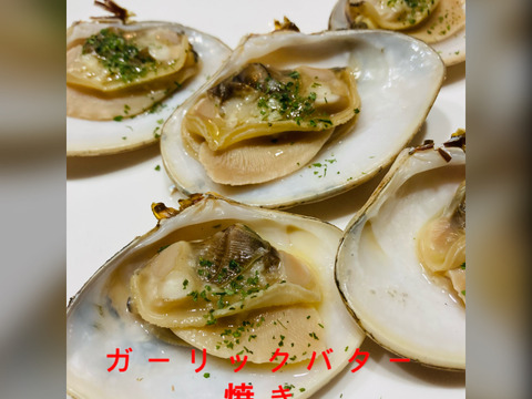 小玉貝（小） 2キロ