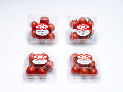濃厚な甘さ感じるフルーツトマト『ポモロッサ４パック入』