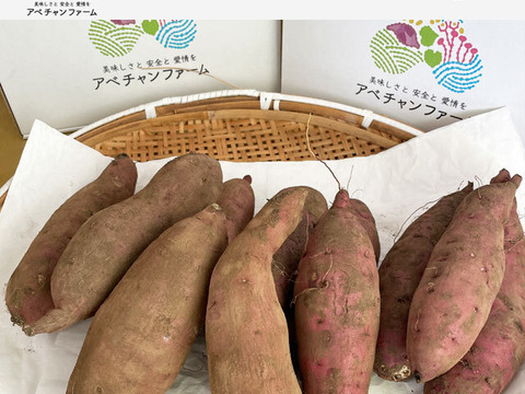 【栃木県産】熟成さつまいも　4kg　紅はるか