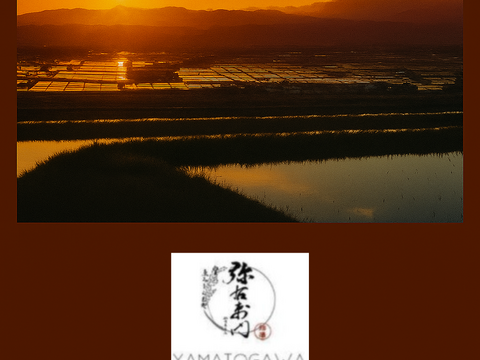 【新米予約】雪蔵銀ぴか米ミルキークイーン（玄米30kg）