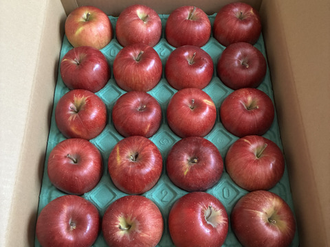 「シナノスイート」お徳用訳あり　沢山食べたい5キロコース　（18玉から20玉）　美味しさそのままスマートフレッシュ　鮮度保持貯蔵　訳あり約5キロ　ご好評販売中