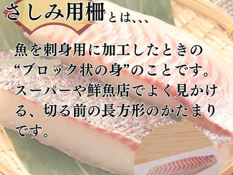 【母の日】沼津産真鯛　お刺身用柵　130g×2袋（皮引き済み）