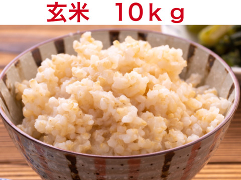 新米【令和6年 玄米 】10kg 農薬不使用 ・化学肥料不使用 千葉県香取市産 特別栽培米　ふさおとめ  農家直送　収穫したてです。