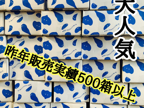【1日50箱完売】あまい！みずみずしい！雪国育ちの糖度が高い『日本一の青森ミネラルにんにく大玉』1キロ