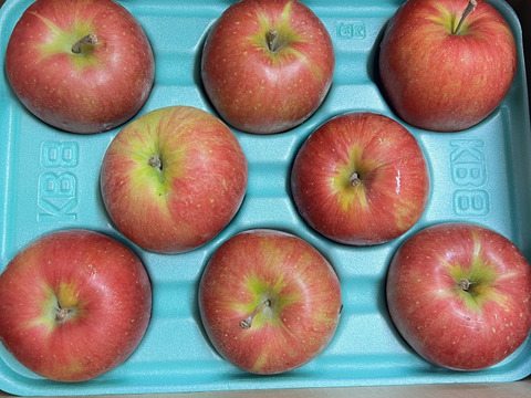 【まるで採れたて】シナノスイート 訳あり 3kg りんご 甘い  ご家庭用  果物 フルーツ お中元 ギフト リンゴ アップル   おやつ 子供のおやつ 貯蔵りんご おすすめフルーツ まるで採れたて