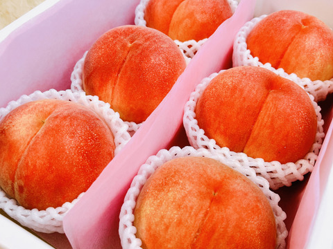 【おどろき】【贈答用】白桃　2024年度予約　約3㎏　化粧箱入り　約5〜9玉