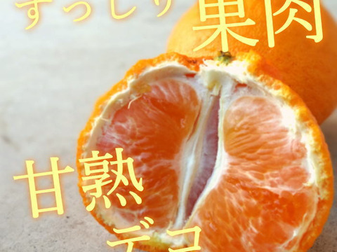 【数量限定★極上の食べ比べ】🏆みかん柑橘グランプリ2026最高金賞含む最多４部門受賞の「木熟せとか」＆店長イチ押しの高糖度しらぬい「甘熟デコ」　サイズ混合　お試し品　約2.25ｋｇ【415-225k】