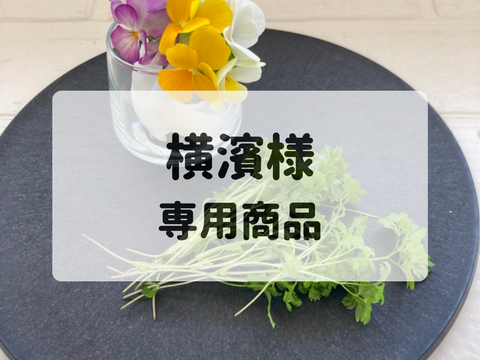 横濱様　専用商品