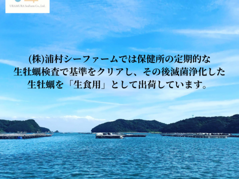 牡蠣好き歓喜の30%増量中！三重県産 殻付き 浦村かき M～Lサイズ 30個入り（約3.3kg前後）（3～6人前）【生牡蠣】【生食用】貝類 海鮮 バーベキューに BBQ お歳暮 母の日ギフト