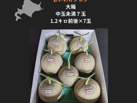 【今季最終セール品】北海道産　おいわけメロン　糖度16度以上　大箱7玉入り