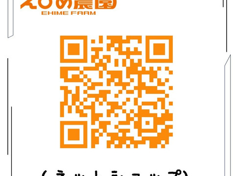 【新登場＆数量限定】愛媛県産 新品種「愛媛果試第48号(基準クリアで紅プリンセス）」約3kg予約販売開始！