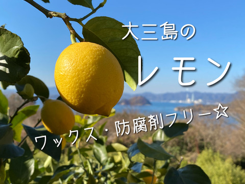 瀬戸内の島の恵みレモン２㎏【皮ごと食べられるワックス・防腐剤フリー☆】新鮮！果汁たっぷり瀬戸内レモン