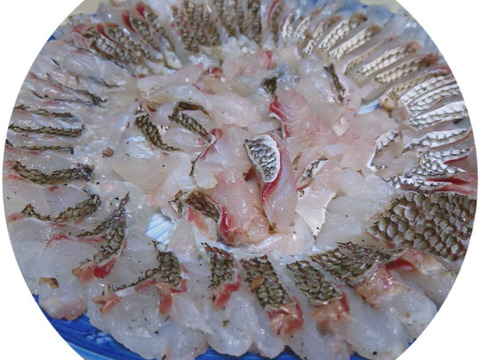 旬の味をギュッと凝縮！お刺身鮮度の冷凍真鯛(２尾で500g×2p)