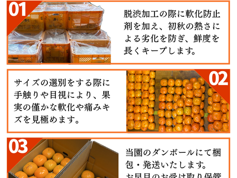 和歌山のたねなし柿 ★北海道用★ 箱込5kg