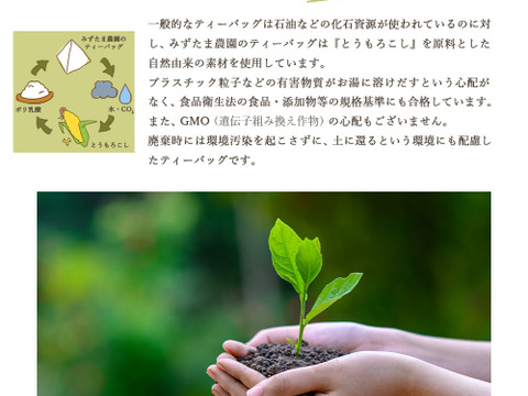 【メール便】農薬も化学肥料も使わないで育てたほうじ茶2.5g×100p