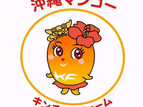 ご家庭用のお得な完熟マンゴー。
見た目に少し小キズや色ムラがありますが、中身は贈答品同様の濃厚な甘味の美味しいマンゴーです。