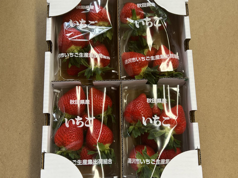 甘さと酸味が奏でる贅沢いちご】イチゴ 乳酸菌 発酵 ストロベリー