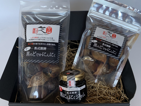 黒にんにく ギフトセット【岐阜郡上産ジャンボにんにく】